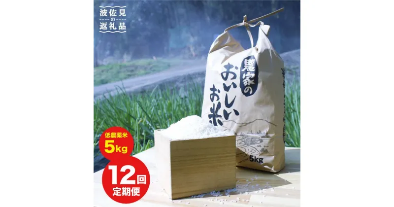 【ふるさと納税】【全12回定期便】【低農薬】農家のおいしいお米 5kg 【浅田峠自然塾】 [EA07]