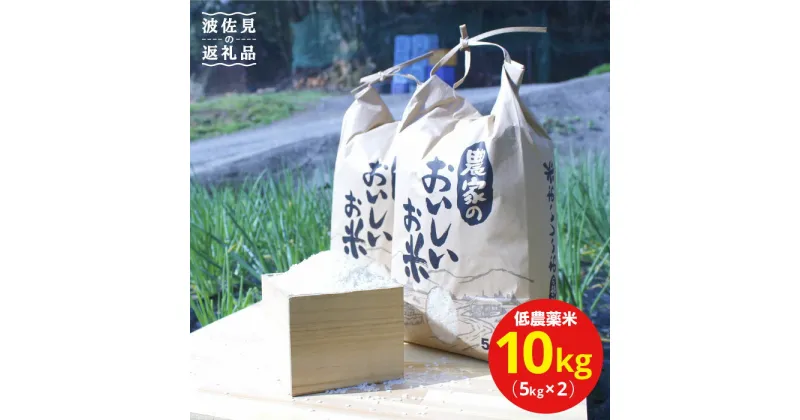 【ふるさと納税】低無農薬！農家のおいしいお米 10kg（5kg×2袋）【浅田峠自然塾】 [EA05]