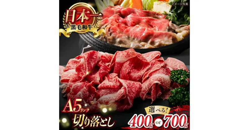 【ふるさと納税】【A5ランク】牛肩 切り落とし スライス 400g or 700g【肉のあいかわ】[NA75] お肉 牛肉 和牛 切り落とし すき焼き 焼肉 しゃぶしゃぶ モモ 牛すき 焼き肉 小分け 送料無料