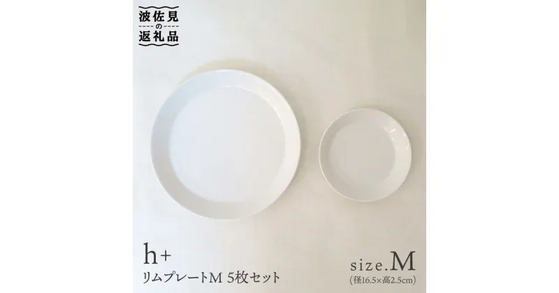 【ふるさと納税】【波佐見焼】リム プレート M 5枚セット 食器 皿 【堀江陶器】 [JD25]