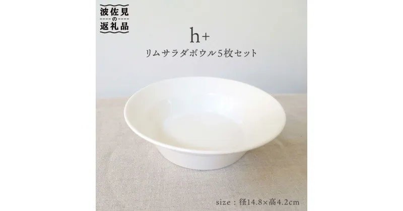 【ふるさと納税】【波佐見焼】h+ リム サラダ ボウル 5枚セット 食器 皿 【堀江陶器】 [JD22]