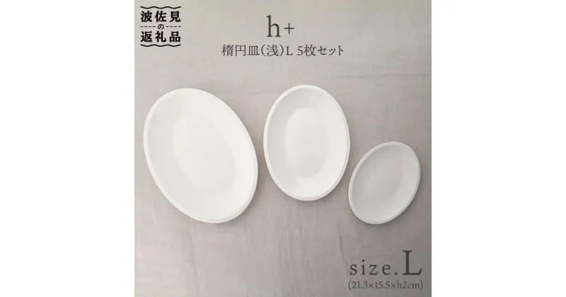 【ふるさと納税】【波佐見焼】h+ 楕円皿 (浅) プレート L 5枚セット 食器 皿 【堀江陶器】 [JD20]