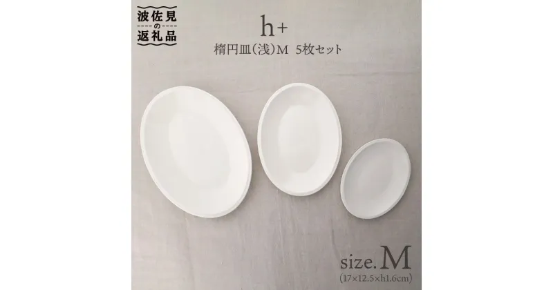 【ふるさと納税】【波佐見焼】h+ 楕円皿 (浅) プレート M 5枚セット 食器 皿 【堀江陶器】 [JD19]