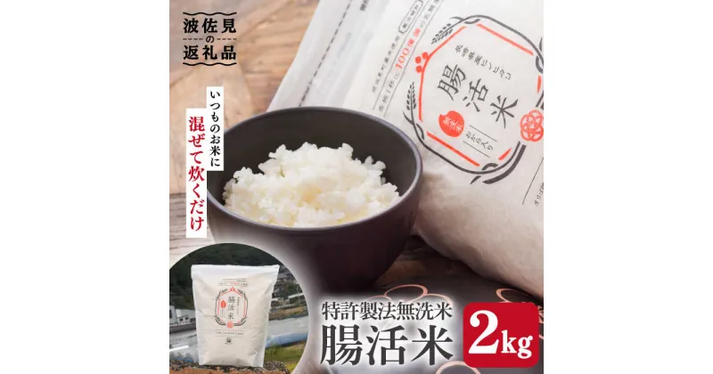 【ふるさと納税】【お中元・ギフトにおすすめ】腸活米 2kg ( 無洗米 )【出島トンボロ】 [VD01]