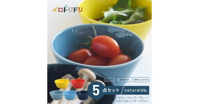 【ふるさと納税】【波佐見焼】イロトリドリ ボウルL 5色セット 食器 皿【natural69】[QA119]