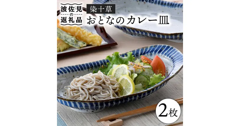 【ふるさと納税】【波佐見焼】おとなの カレー皿 （染十草） 2枚セット 食器 皿 【大桂工房】 [GD30]