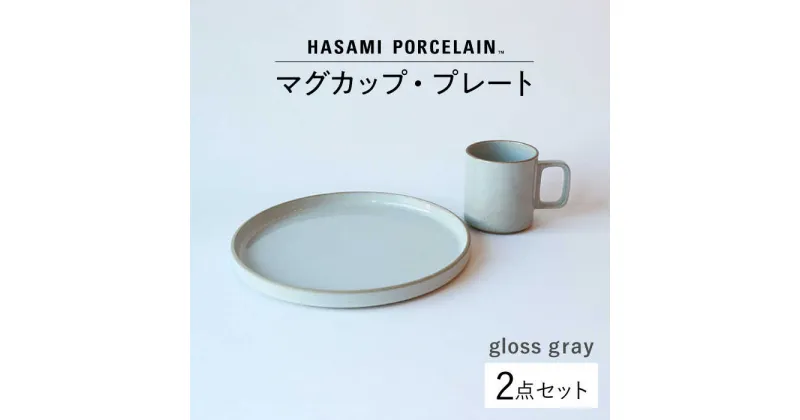 【ふるさと納税】【波佐見焼 HASAMI PORCELAIN】マグカップ プレート グロスグレー 2点セット 【東京西海】【ハサミポーセリン】 [DD184]