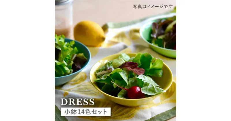 【ふるさと納税】【波佐見焼】料理を引き立たせる 小鉢 14色セット 食器 皿 【DRESS】 [SD35]