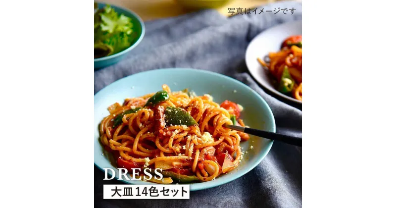 【ふるさと納税】【波佐見焼】料理を引き立たせる 大皿 14色セット 食器 皿 【DRESS】 [SD37]