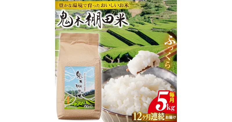 【ふるさと納税】【令和6年度新米】【全12回定期便】鬼木 棚田米 5kg 鬼木の棚田 米【原田製茶】 [GA20]