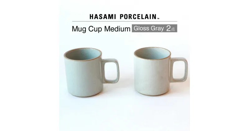 【ふるさと納税】【HASAMI PORCELAIN】マグカップ グロスグレイ 2点セット【東京西海】 [DD196]