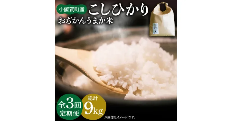 【ふるさと納税】【令和6年度産】【全3回定期便】 お米 コシヒカリ おぢかんうまか米（小値賀町産こしひかり 3kg ・精白米） [DAB011] 長崎 五島列島 小値賀 国産 コシヒカリ こしひかり 米 お米 白米 ご飯 精米 お弁当 おにぎり 常温