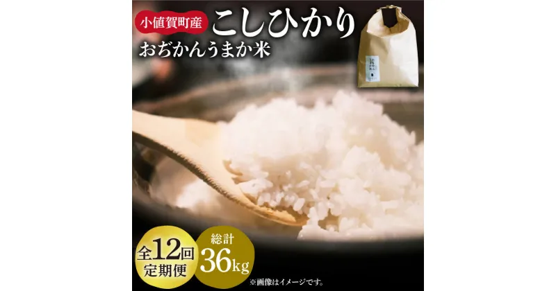 【ふるさと納税】【令和6年度産】【全12回定期便】 米 お米 おぢかんうまか米（小値賀町産こしひかり 3kg ・精白米） [DAB013] 長崎 五島列島 小値賀 島 国産 コシヒカリ こしひかり 白米 ご飯 精米 お弁当 おにぎり 常温