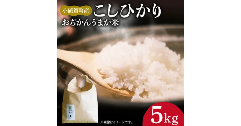 【ふるさと納税】【令和6年度産新米】【5kg】 米 お米 おぢかんうまか米（小値賀町産こしひかり 5kg ・精白米） [DAB014] 長崎 五島列島 小値賀 国産 コシヒカリ こしひかり 米 お米 白米 ご飯 精米 お弁当 常温