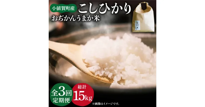 【ふるさと納税】【令和6年度産】【全3回定期便】 コシヒカリ5kg おぢかんうまか米（精白米） [DAB015] 長崎 五島列島 小値賀 島 国産 コシヒカリ こしひかり 米 お米 白米 ご飯 精米 お弁当 おにぎり 常温