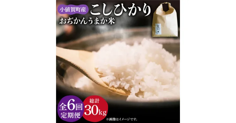 【ふるさと納税】【令和6年度産】【全6回定期便】 コシヒカリ 5kg おぢかんうまか米（小値賀町産こしひかり 5kg ・精白米） [DAB016] 長崎 五島列島 小値賀 島 国産 コシヒカリ こしひかり 米 お米 白米 ご飯 精米 お弁当 おにぎり 常温