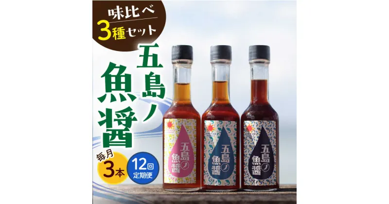 【ふるさと納税】【全12回定期便】【1本ずつ丁寧に手づくり】五島ノ魚醤 60ml 3種（青魚・白身魚・イカ）3本セット 《factory333》[DAS004] 長崎 五島列島 魚醤 調味料 旨味 醤油 タレ 出汁 ダシ 常温 定期便 120000 120000円 12万円