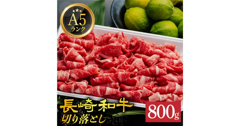 【ふるさと納税】【 A5 】 切り落とし 800g 長崎和牛《小値賀町》【有限会社肉の相川】 [DAR031] 肉 牛肉 和牛 A5ランク こま切れ 小間切れ 黒毛和牛 贅沢 26000 26000円