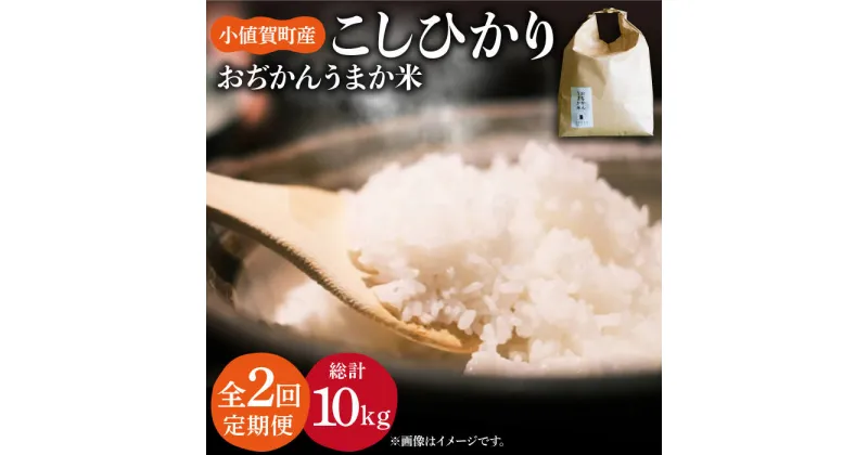 【ふるさと納税】【令和6年度産】【全2回定期便】 コシヒカリ 5kg おぢかんうまか米（精白米） [DAB038] 長崎 五島列島 小値賀 島 国産 おいしい コシヒカリ こしひかり 米 お米 白米 ご飯 精米 お弁当 おにぎり 常温