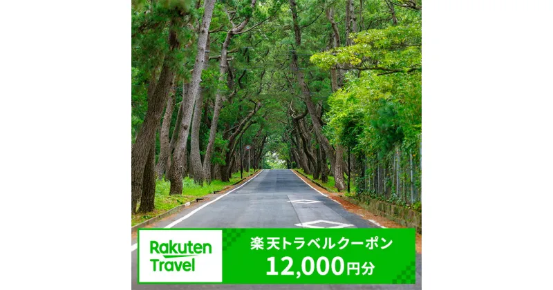 【ふるさと納税】長崎県小値賀町の対象施設で使える楽天トラベルクーポン　寄付額40,000円[DZZ004]