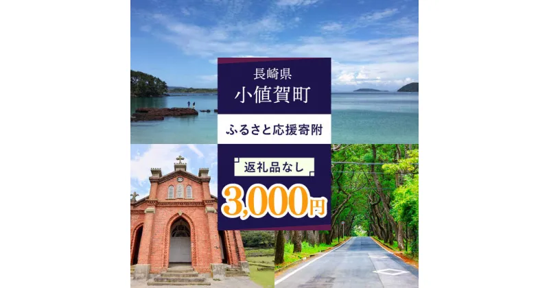 【ふるさと納税】【返礼品なし】長崎県小値賀町 ふるさと応援寄附金（3,000円分）[DYZ002]