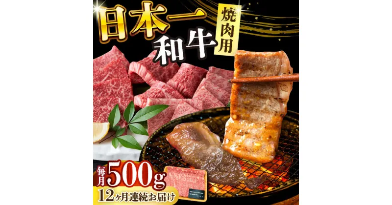 【ふるさと納税】【全12回定期便】【A4〜A5】長崎和牛焼肉用　500g【株式会社 MEAT PLUS】[DBS036]