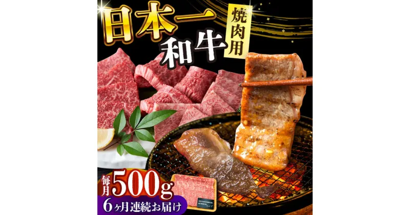 【ふるさと納税】【全6回定期便】【A4〜A5】長崎和牛焼肉用　500g【株式会社 MEAT PLUS】[DBS035]