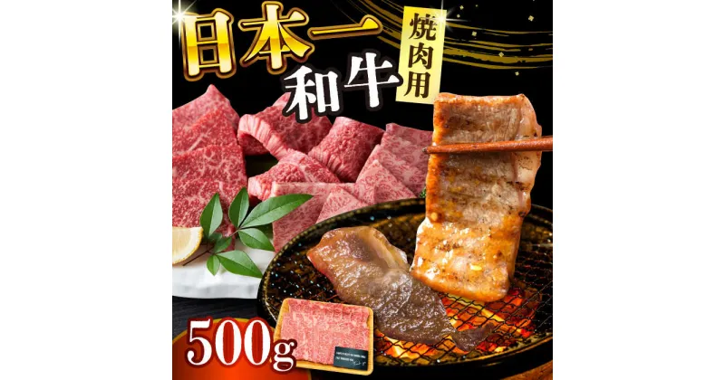 【ふるさと納税】【A4〜A5】長崎和牛焼肉用　500g【株式会社 MEAT PLUS】[DBS001]