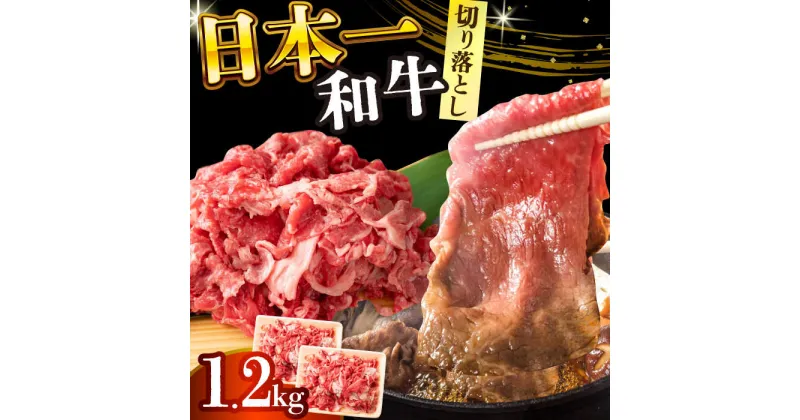 【ふるさと納税】【A4〜A5】長崎和牛切り落とし　1.2kg(600g×2p）【株式会社 MEAT PLUS】[DBS007]