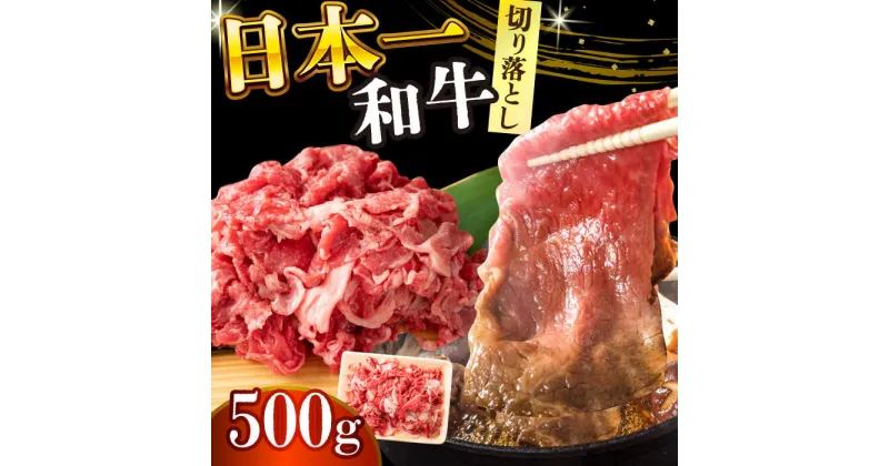 【ふるさと納税】【A4〜A5】長崎和牛切り落とし　500g【株式会社 MEAT PLUS】[DBS005]