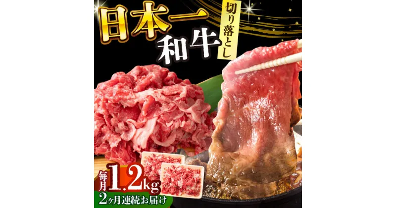 【ふるさと納税】【全2回定期便】【A4〜A5】長崎和牛切り落とし　1.2kg(600g×2p）【株式会社 MEAT PLUS】[DBS057]