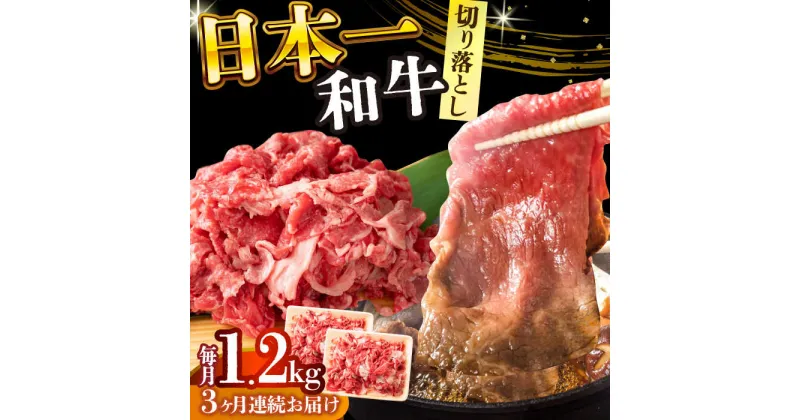 【ふるさと納税】【全3回定期便】【A4〜A5】長崎和牛切り落とし　1.2kg(600g×2p）【株式会社 MEAT PLUS】[DBS058]