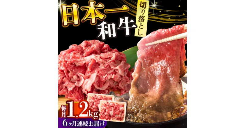 【ふるさと納税】【全6回定期便】【A4〜A5】長崎和牛切り落とし　1.2kg(600g×2p）【株式会社 MEAT PLUS】[DBS059]