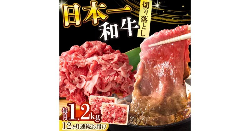 【ふるさと納税】【全12回定期便】【A4〜A5】長崎和牛切り落とし　1.2kg(600g×2p）【株式会社 MEAT PLUS】[DBS060]