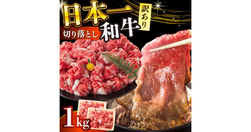 【ふるさと納税】【訳あり】【A4〜A5】長崎和牛焼肉切り落とし(肩ロース・バラ）　1kg（500g×2p）【株式会社 MEAT PLUS】[DBS004]