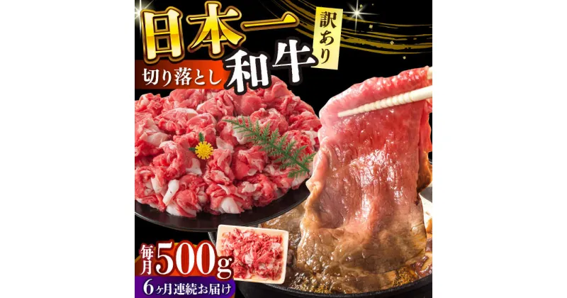 【ふるさと納税】【全6回定期便】【訳あり】【A4〜A5】長崎和牛焼肉切り落とし(肩ロース・バラ）　500g【株式会社 MEAT PLUS】[DBS043]