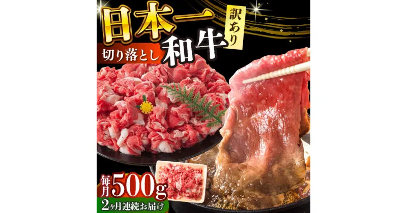 【ふるさと納税】【全2回定期便】【訳あり】【A4〜A5】長崎和牛焼肉切り落とし(肩ロース・バラ）　500g【株式会社 MEAT PLUS】[DBS041]