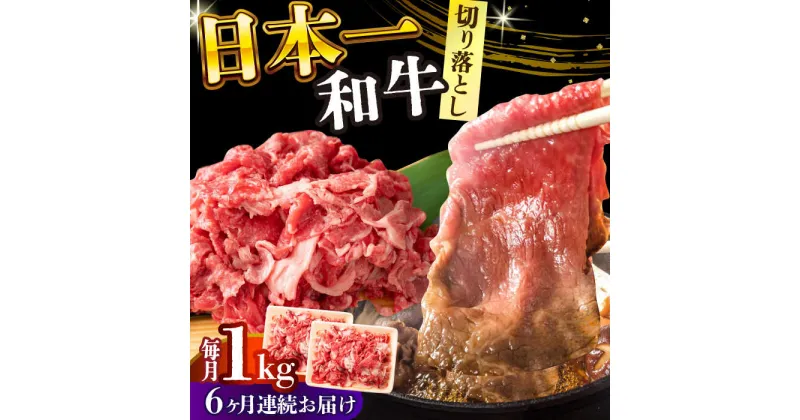 【ふるさと納税】【全6回定期便】【A4〜A5】長崎和牛切り落とし　1kg(500g×2p）【株式会社 MEAT PLUS】[DBS055]