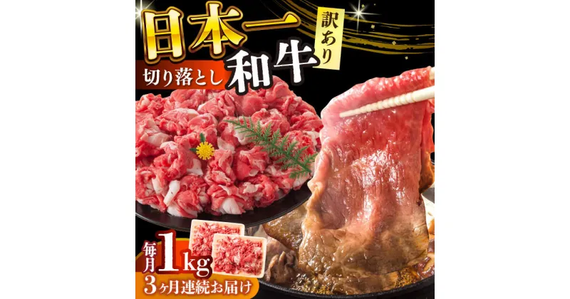 【ふるさと納税】【全3回定期便】【訳あり】【A4〜A5】長崎和牛焼肉切り落とし(肩ロース・バラ）　1kg（500g×2p）【株式会社 MEAT PLUS】[DBS046]