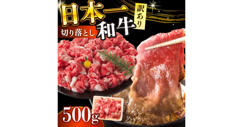 【ふるさと納税】【訳あり】【A4〜A5】長崎和牛焼肉切り落とし(肩ロース・バラ）　500g【株式会社 MEAT PLUS】[DBS003]