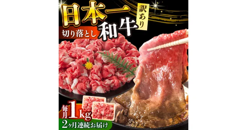 【ふるさと納税】【全2回定期便】【訳あり】【A4〜A5】長崎和牛焼肉切り落とし(肩ロース・バラ）　1kg（500g×2p）【株式会社 MEAT PLUS】[DBS045]