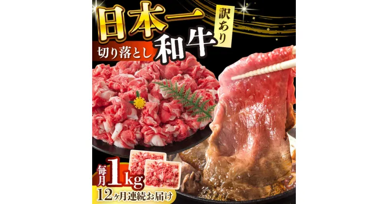 【ふるさと納税】【全12回定期便】【訳あり】【A4〜A5】長崎和牛焼肉切り落とし(肩ロース・バラ）　1kg（500g×2p）【株式会社 MEAT PLUS】[DBS048]