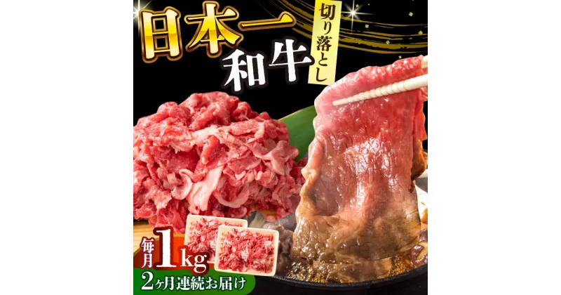 【ふるさと納税】【全2回定期便】【A4〜A5】長崎和牛切り落とし　1kg(500g×2p）【株式会社 MEAT PLUS】[DBS053]