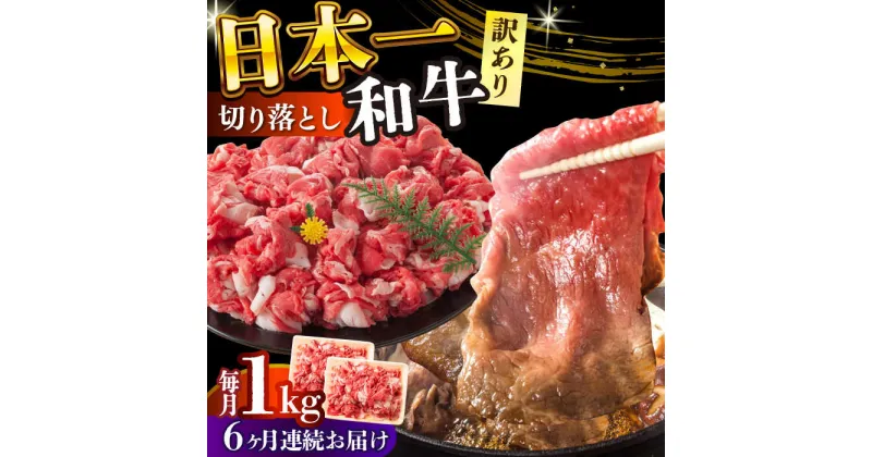 【ふるさと納税】【全6回定期便】【訳あり】【A4〜A5】長崎和牛焼肉切り落とし(肩ロース・バラ）　1kg（500g×2p）【株式会社 MEAT PLUS】[DBS047]