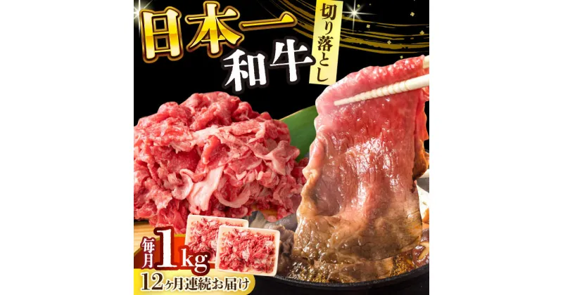 【ふるさと納税】【全12回定期便】【A4〜A5】長崎和牛切り落とし　1kg(500g×2p）【株式会社 MEAT PLUS】[DBS056]