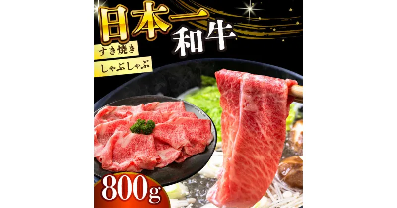 【ふるさと納税】【A4〜A5】長崎和牛しゃぶしゃぶすき焼き用（肩ロース肉・肩バラ・モモ肉）800g（400g×2p）【株式会社 MEAT PLUS】[DBS010]