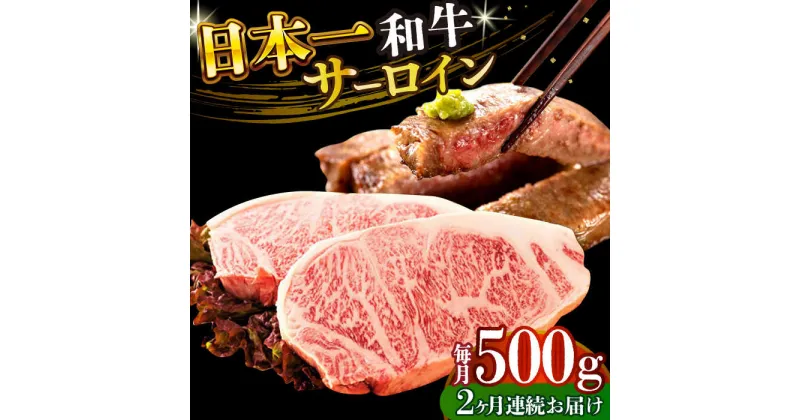 【ふるさと納税】【全2回定期便】【A4〜A5】長崎和牛サーロインステーキセット　500g（250g×2枚）【株式会社 MEAT PLUS】[DBS085]