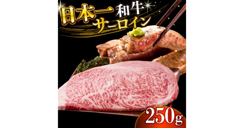 【ふるさと納税】【A4〜A5】長崎和牛サーロインステーキ　250g（250g×1枚）【株式会社 MEAT PLUS】[DBS013]