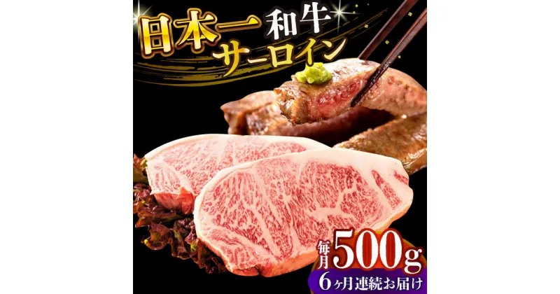 【ふるさと納税】【全6回定期便】【A4〜A5】長崎和牛サーロインステーキセット　500g（250g×2枚）【株式会社 MEAT PLUS】[DBS087]