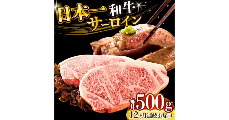 【ふるさと納税】【全12回定期便】【A4〜A5】長崎和牛サーロインステーキセット　500g（250g×2枚）【株式会社 MEAT PLUS】[DBS088]